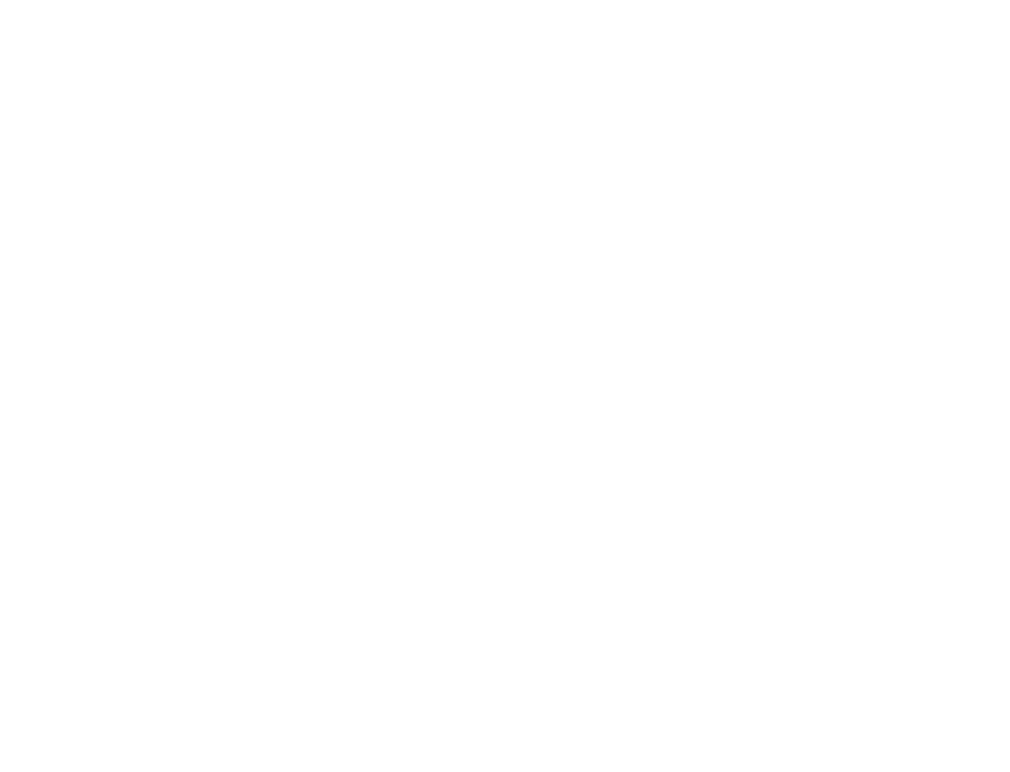 Career path of a programmer