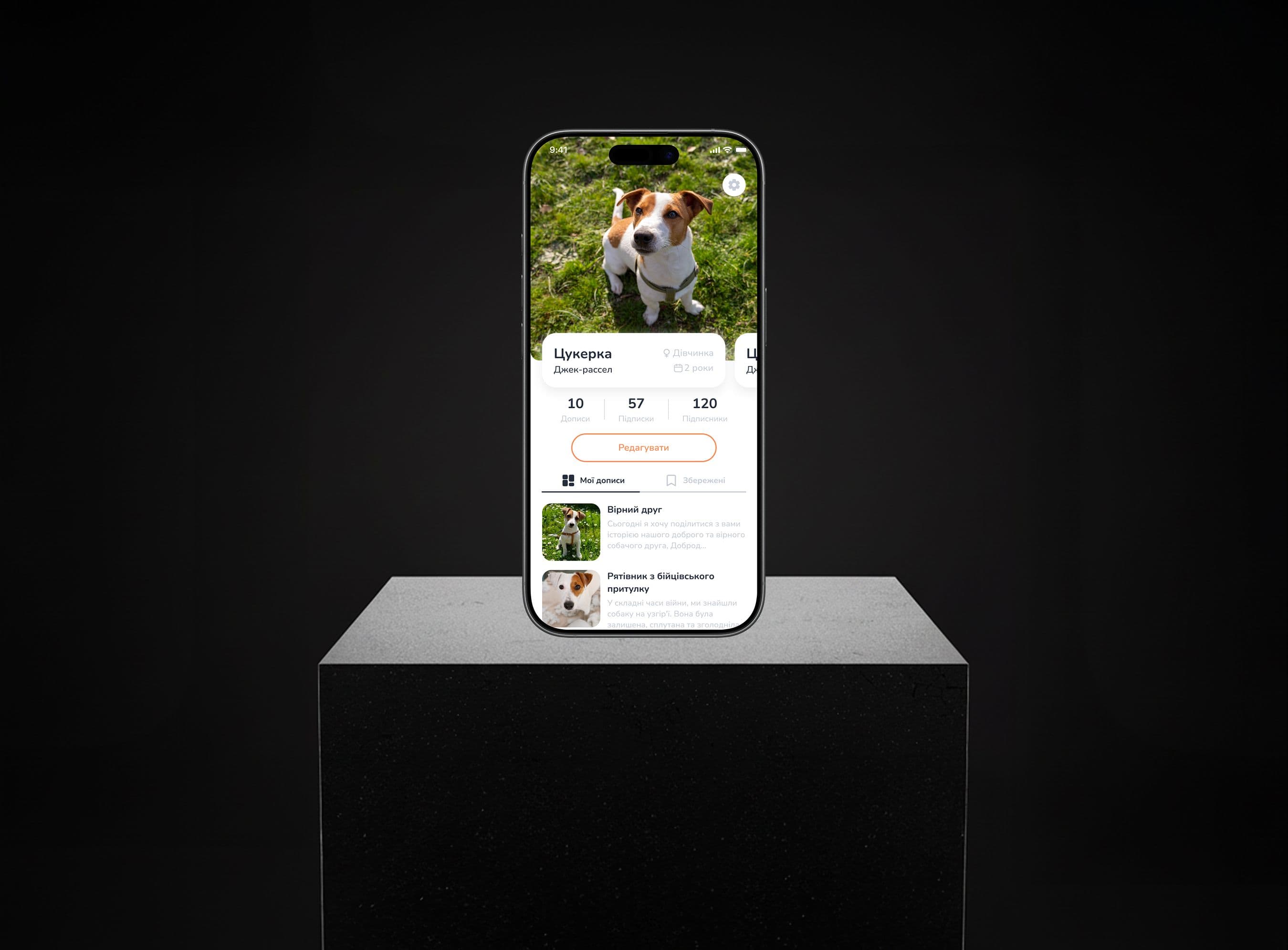 Соціалізація і розваги з Pet Friends